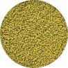 DRAGON BARBUDO JOVEN PELLET SEMI-HUMEDO 283GR.