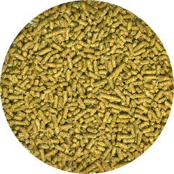 DRAGON BARBUDO JOVEN PELLET SEMI-HUMEDO 283GR.