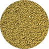 DRAGON BARBUDO ADULTO PELLET SEMI-HUMEDO 283GR.