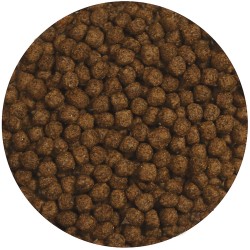 ALIMENTO COMPL. TORTUGA ACUATICA MTO 184GR.