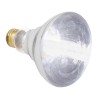 REPTI HALOGEN HEAT LAMP 75WT.