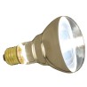 REPTI HALOGEN HEAT LAMP 100WT.