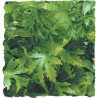 PLANTA PLASTICO CANNABIS PEQUEÑA