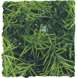 PLANTA PLASTICO CASHUARINA PEQUEÑA