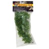PLANTA PLASTICO CONGO IVY PEQUEÑA