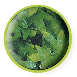 PLANTA PLASTICO CONGO IVY PEQUEÑA