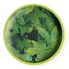 PLANTA PLASTICO CONGO IVY PEQUEÑA