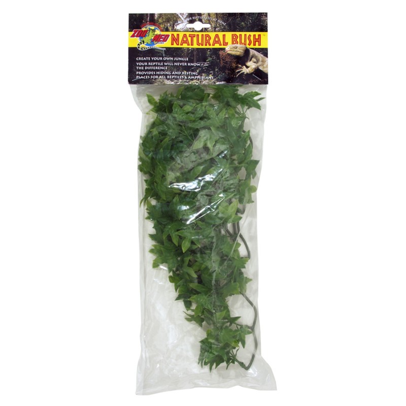 PLANTA PLASTICO CONGO IVY MEDIANA