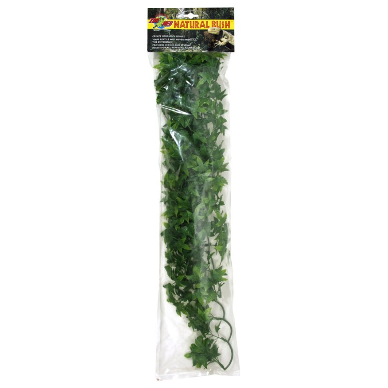PLANTA PLASTICO CONGO IVY GRANDE