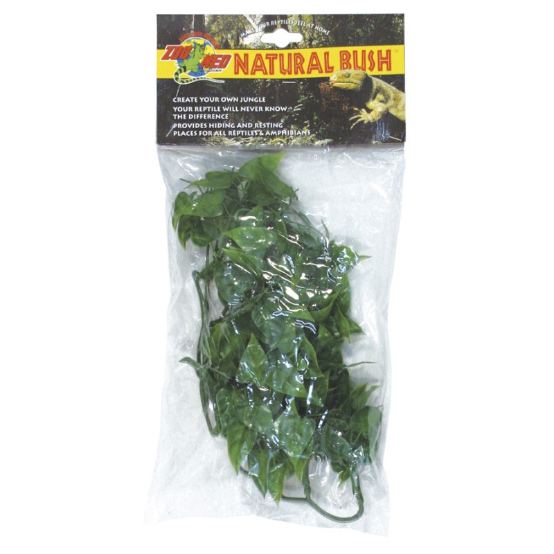 PLANTA PLASTICO MEXICAN PHYLLO PEQUEÑA