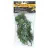 PLANTA PLASTICO MEXICAN PHYLLO PEQUEÑA