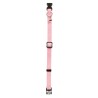 COLLAR GATO MAC LEATHER PURPURINA 10mm x 20-33cm