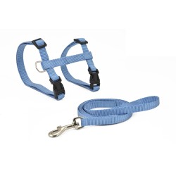 ARNES Y CORREA GATO BASIC AZUL