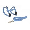 ARNES Y CORREA GATO BASIC AZUL