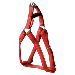 ARNES MAC LEATHER ROJO 10mm x 25-40cm