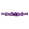 COLLAR BASIC LILA 20mm x 40-55cm
