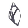 ARNES BASIC NEGRO 25mm x 45-60cm