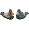 SCOTT DUCK 20cm (U.M.V. 2 UDS.) NS