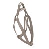 ARNES BASIC VISON 25mm x 45-60cm