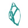 ARNES BASIC AGUAMARINA 25mm x 45-60cm