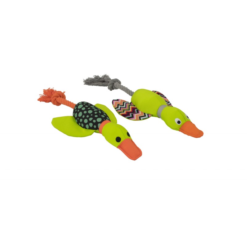 PATO HARRY CON CUERDA DENTAL 33CM (UMV 2uds)