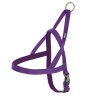 ARNES NEOPRENO LILA 25mm x 70-80cm D.