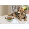 COMEDERO INOX CAT SHADOW 290ml