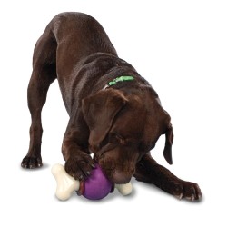 BUSY BUDDY BOUNCY BONE MED NS