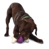 BUSY BUDDY BOUNCY BONE MED NS