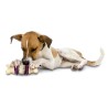 BUSY BUDDY BRISTLE BONE MED