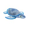 TORTUGA CARIBE 30cm (U.M.V. 2 UDS.) NS