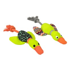 PATO HARRY CON CUERDA DENTAL 33CM (UMV 2uds)
