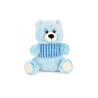 PELUCHE SOFT TEDDY 24cm (UMV 3)