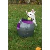 PETSAFE LANZADOR AUTOMATICO DE PELOTAS