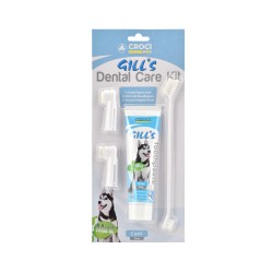 GILL'S KIT DENTAL CARE