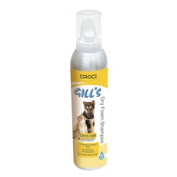 GILL'S CHAMPU ESPUMA SECA 250ML