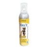 GILL'S CHAMPU ESPUMA SECA 250ML