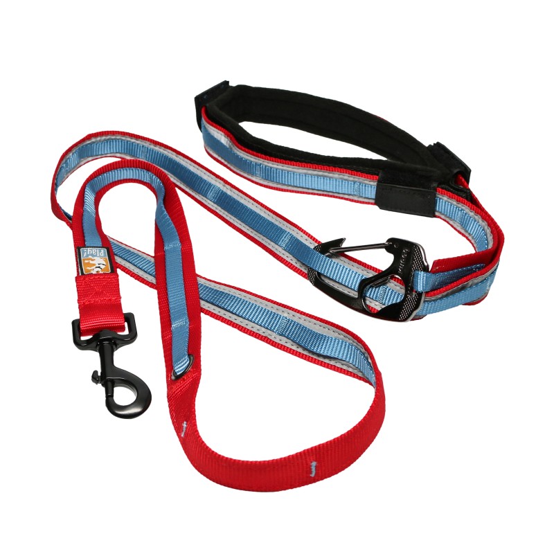 KURGO QUANTUM 6 EN 1 CORREA REFLECTANTE PARA PERRO ROJO/ AZU
