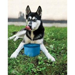 KURGO ZIPPY BOWL AZUL 1,4L