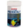 AMTRA PRO VEGETAL FLAKE 250ml