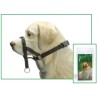 Bozal Dog Control TopTrainer T-XXL max.54cm JM
