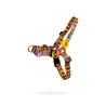 Dashi BOOM PETRAL L (25mmX70-105cm)