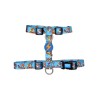Dashi MUSKEHOUNDS arnes XS (10mmx23-38cm)