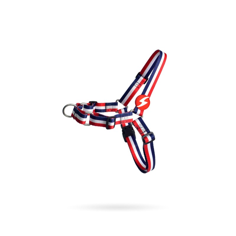 Dashi ESTRIPES3 RED & BLUE PETRAL M (20mmX64-97cm)