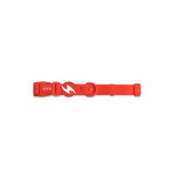 Dashi COLORFLEX RED COLLAR XS (10mmX20-30cm)