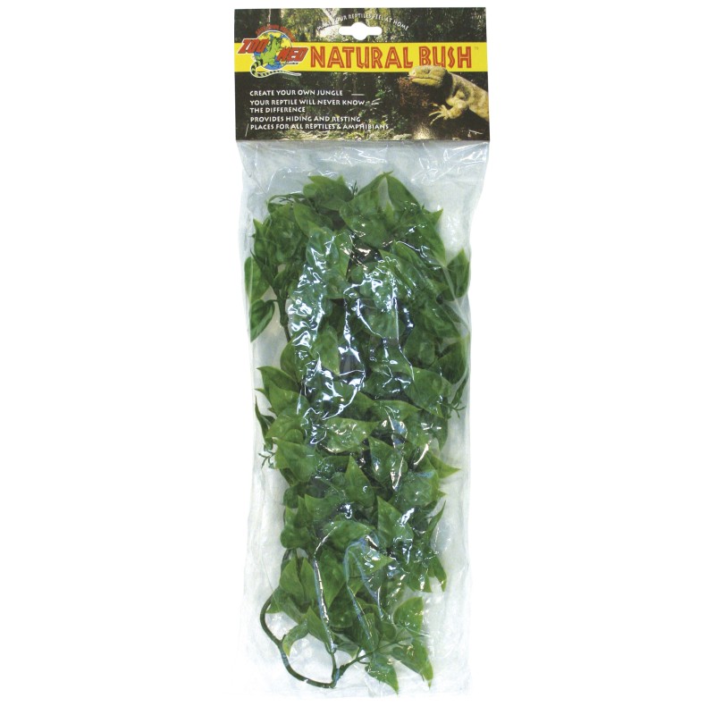 PLANTA PLASTICO MEXICAN PHYLLO MEDIANA