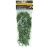 PLANTA PLASTICO MEXICAN PHYLLO MEDIANA