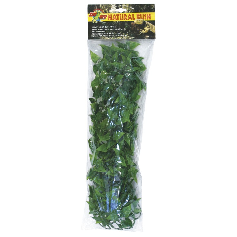 PLANTA PLASTICO MEXICAN PHYLLO GRANDE
