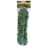 PLANTA PLASTICO MEXICAN PHYLLO GRANDE