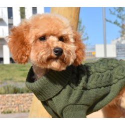 JERSEY PUNTO TRENZA VERDE 30CM D